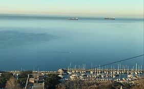 Trieste Sea Life
